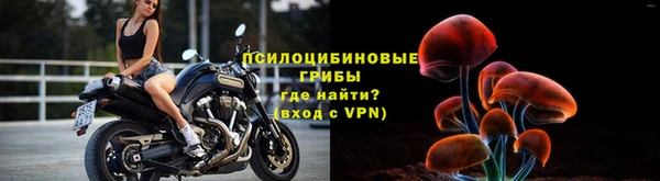бошки Елизово