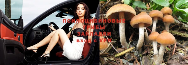 прущая мука Ельня