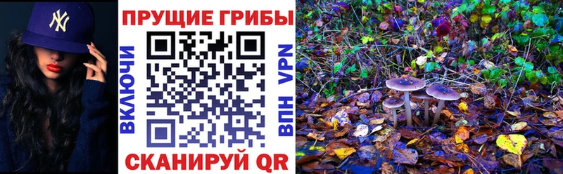 Псилоцибиновые грибы ЛСД  Каменногорск 
