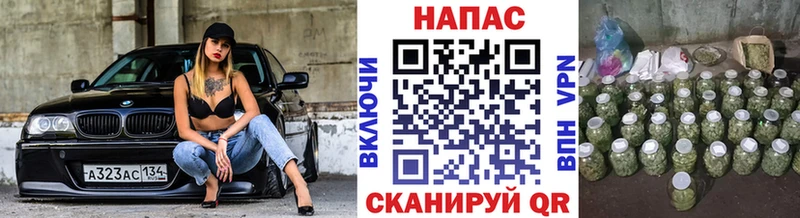 Канабис конопля  мориарти формула  Каменногорск 